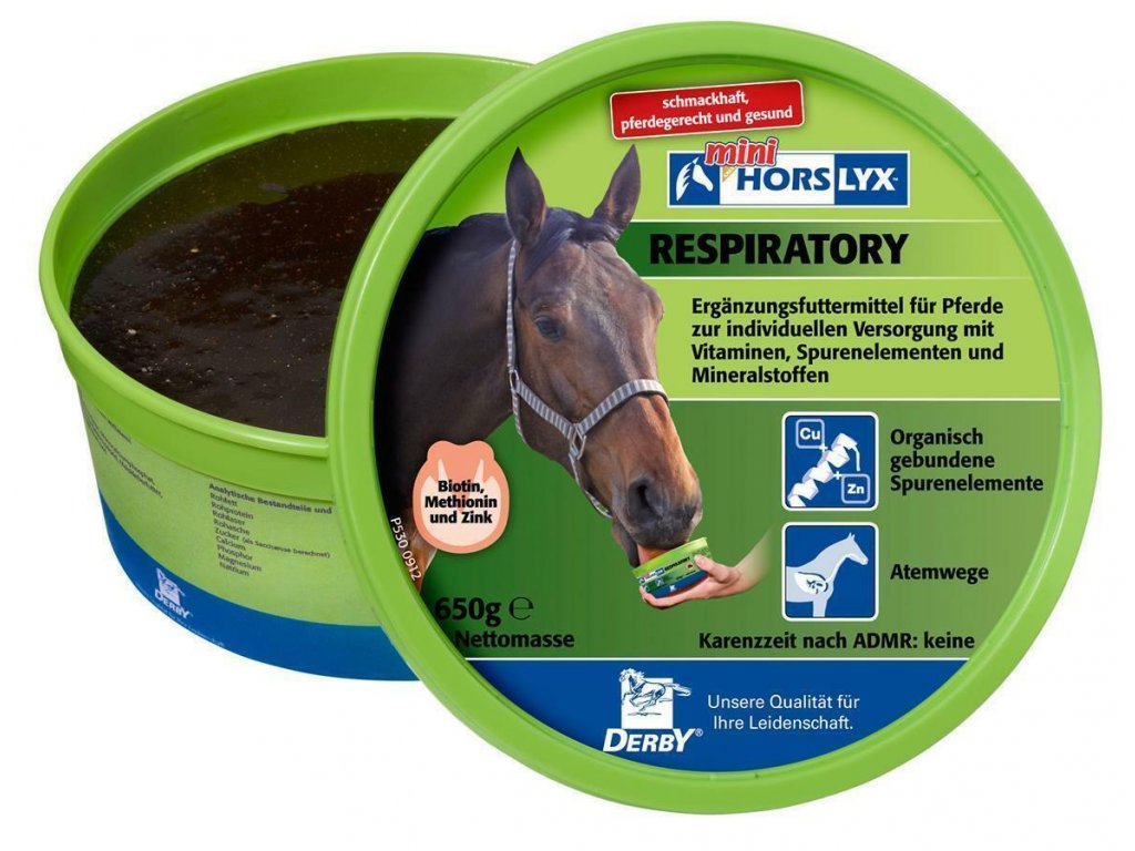 HORSLYX Respiratory, 650 g