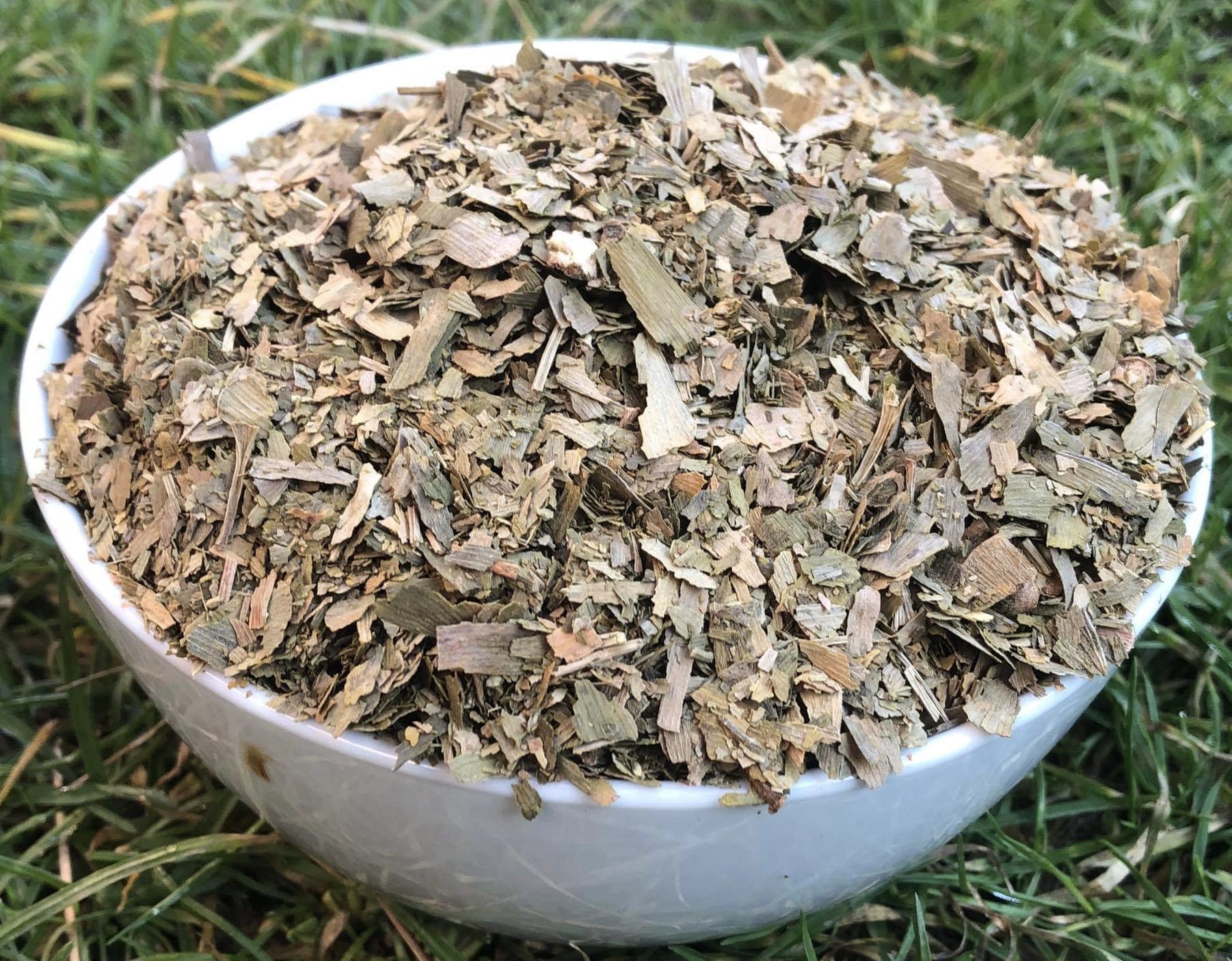 Gingko biloba