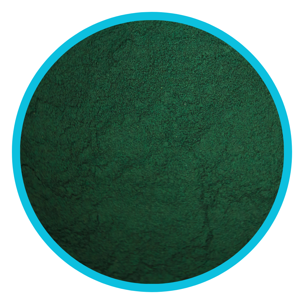 Spirulina