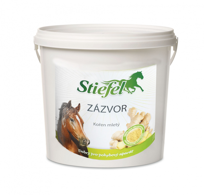 Zázvor (Balení, 1 kg)