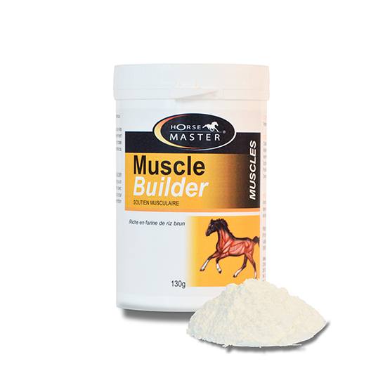 MUSCLE BUILDER