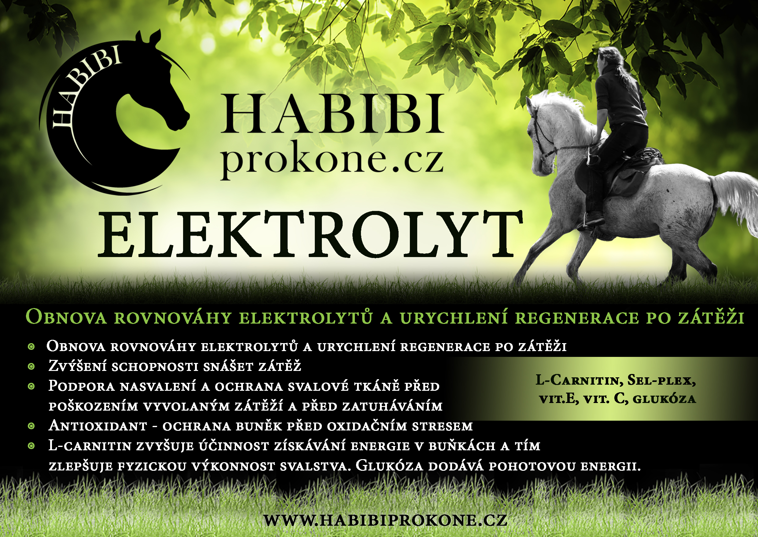 Habibi ELEKTROLYT 1,2 kg