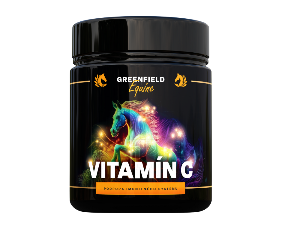 Vitamin C 100% v prášku (Balení, 1 kg)