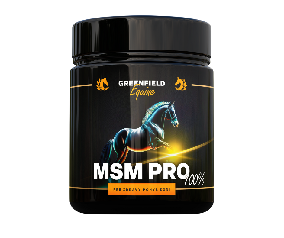 MSM PRO 100% v prášku (Balení, 1 kg)