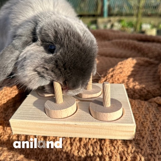 nteraktivní hračka MINI SCHOVÁVAČKA