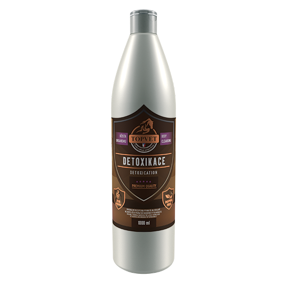 Sirup Detoxikace