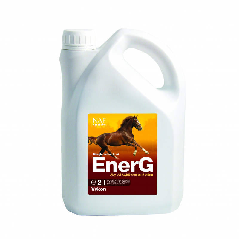 EnerG s železem pro maximální využití energie, kanystr 2 l