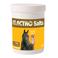 Electro Salts, elektrolyty v prášku při nadměrném pocení, balení 1000g