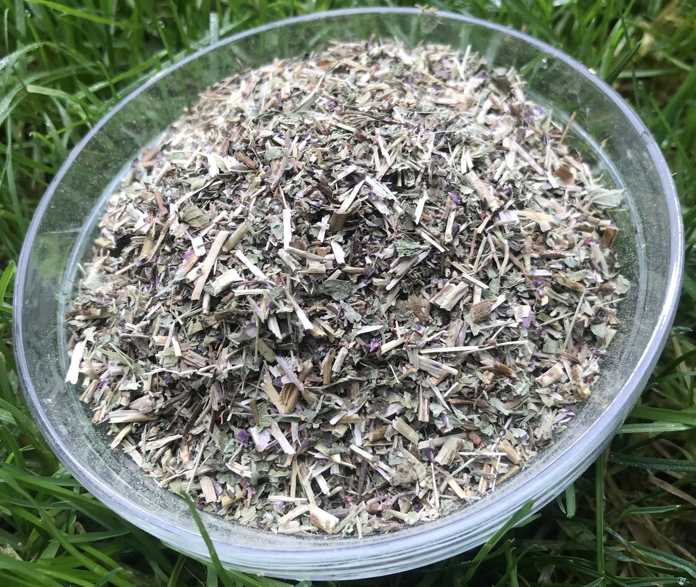 Dobromysl obecná / Oregano