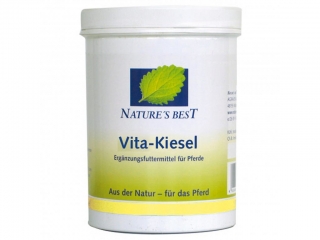 Vita Kiesel, 700 g (Nature's Best)