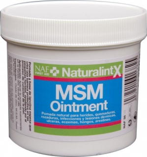 MSM ointment, hustá mast s MSM pro rychlé hojení ran (Balení 250g)