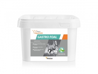 Equinox Gastro foal 1 kg