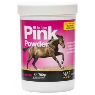 Probiotika s vitamíny pro skvělou kondici, In the pink powder, kyblík 700 g