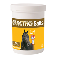 Electro Salts, elektrolyty v prášku při nadměrném pocení, balení 1000g