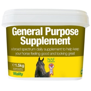 General Supplement, kompletní vitamínovo-minerální krmný doplněk pro koně, kyblí